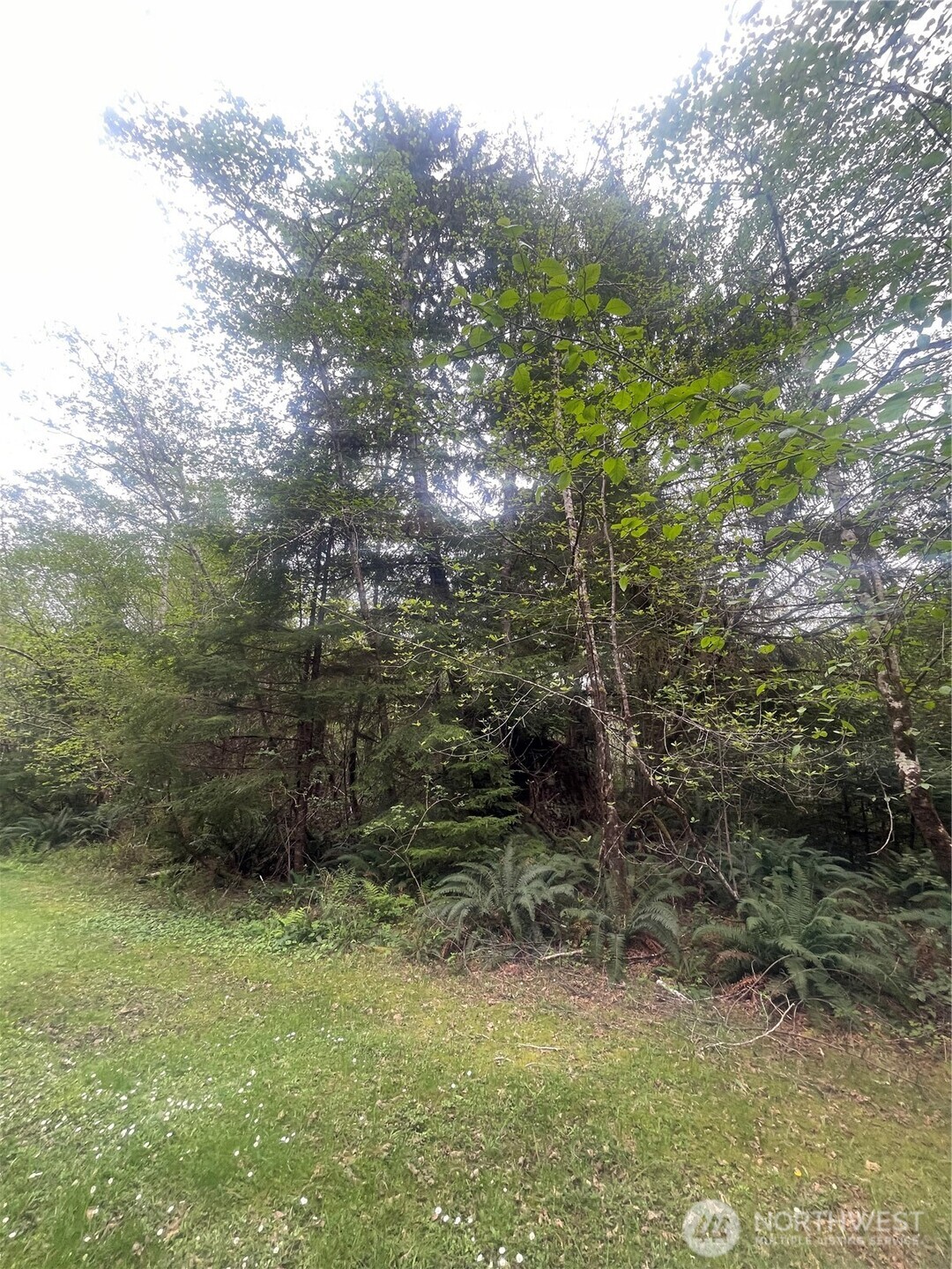 0 Lot 42 Bay Lane