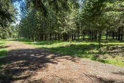 191 Sugarpine Road