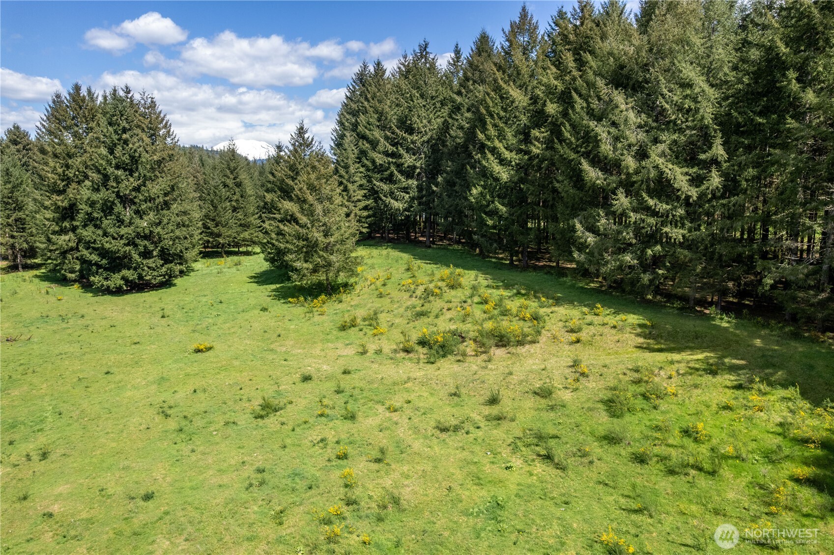 211 Sugarpine Road
