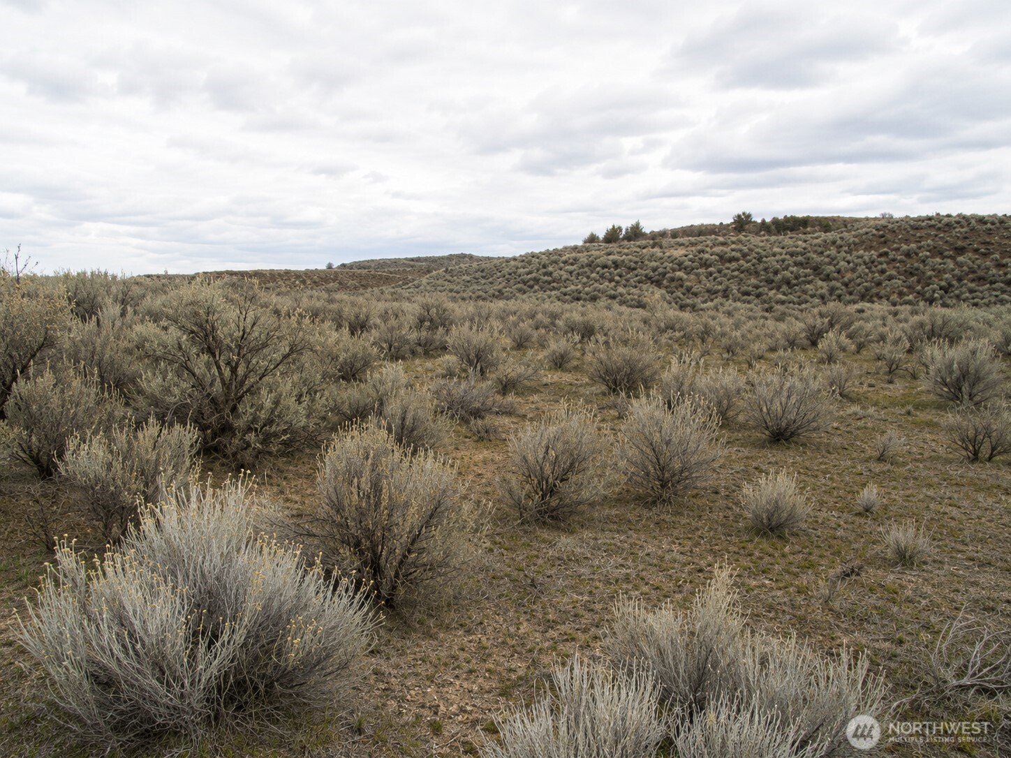 0 Lone Butte Court #24