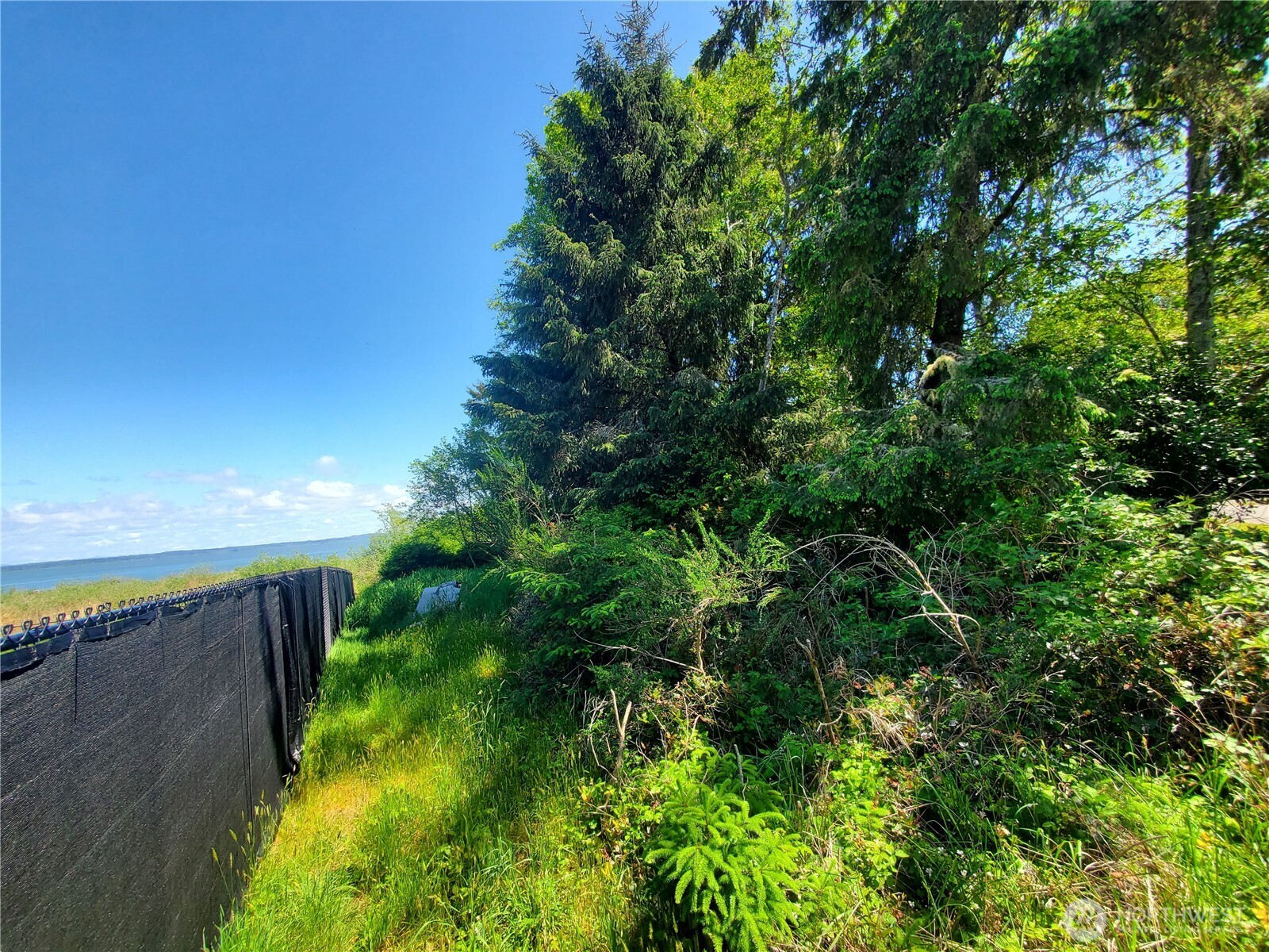 10 Morning Star Lane