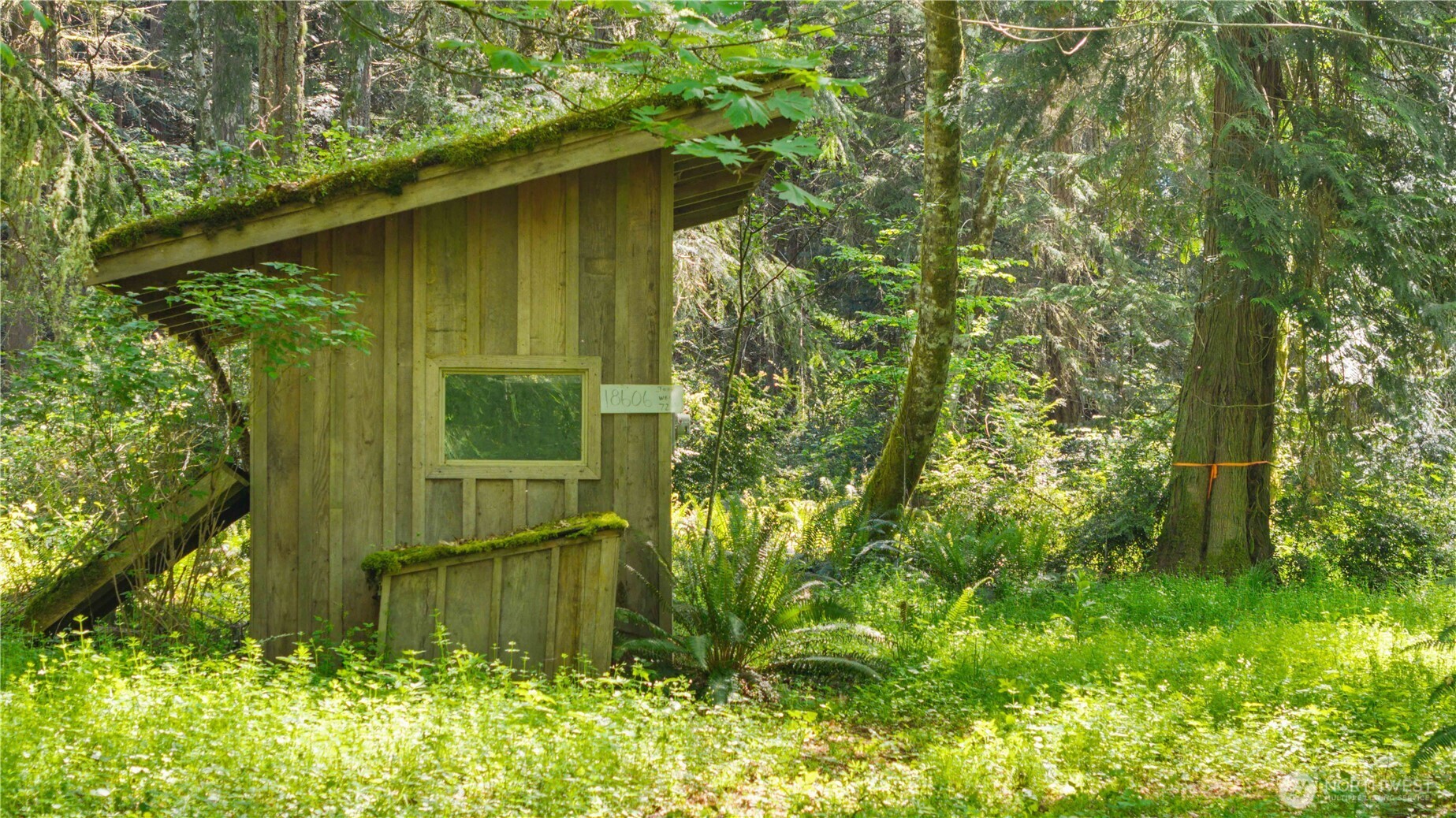 Longbranch, WA 98351