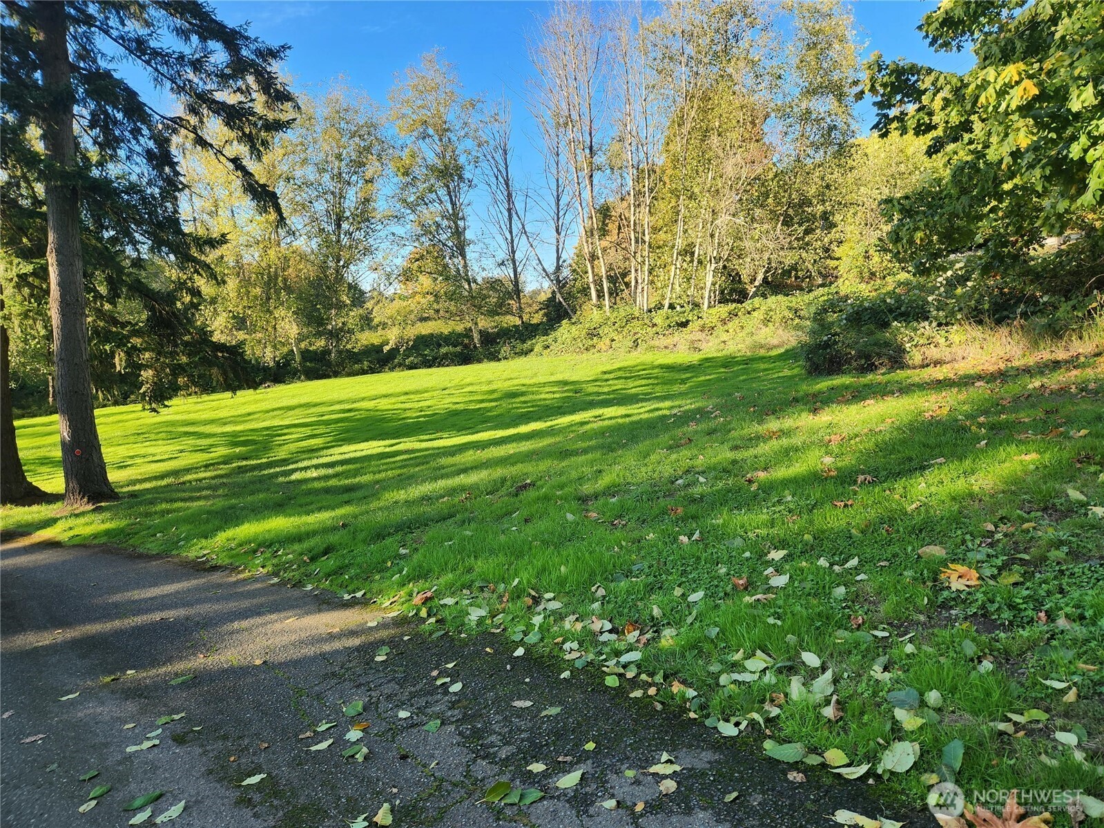 9859 Redmond-Woodinville Road NE