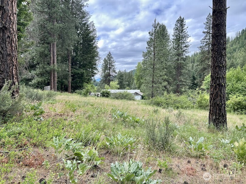 15425 Chumstick Highway