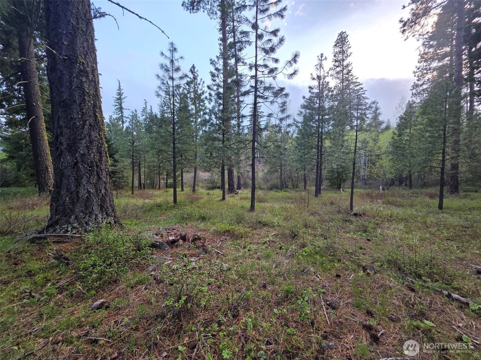 15 Lot Old Grove Trail