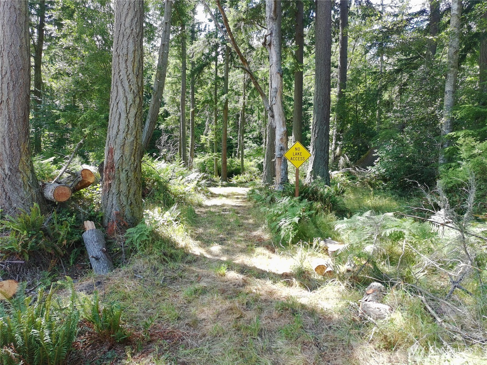 737 Twin View Drive