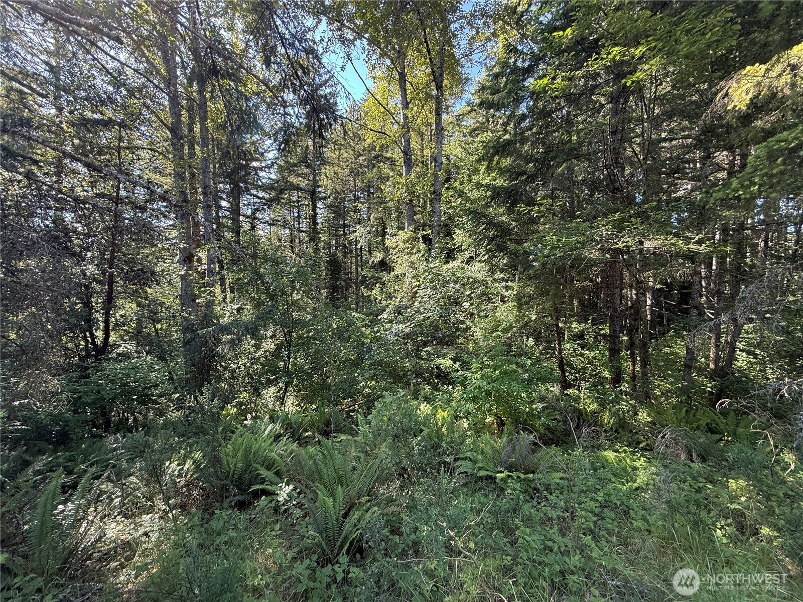 155 xx 62nd Avenue NW