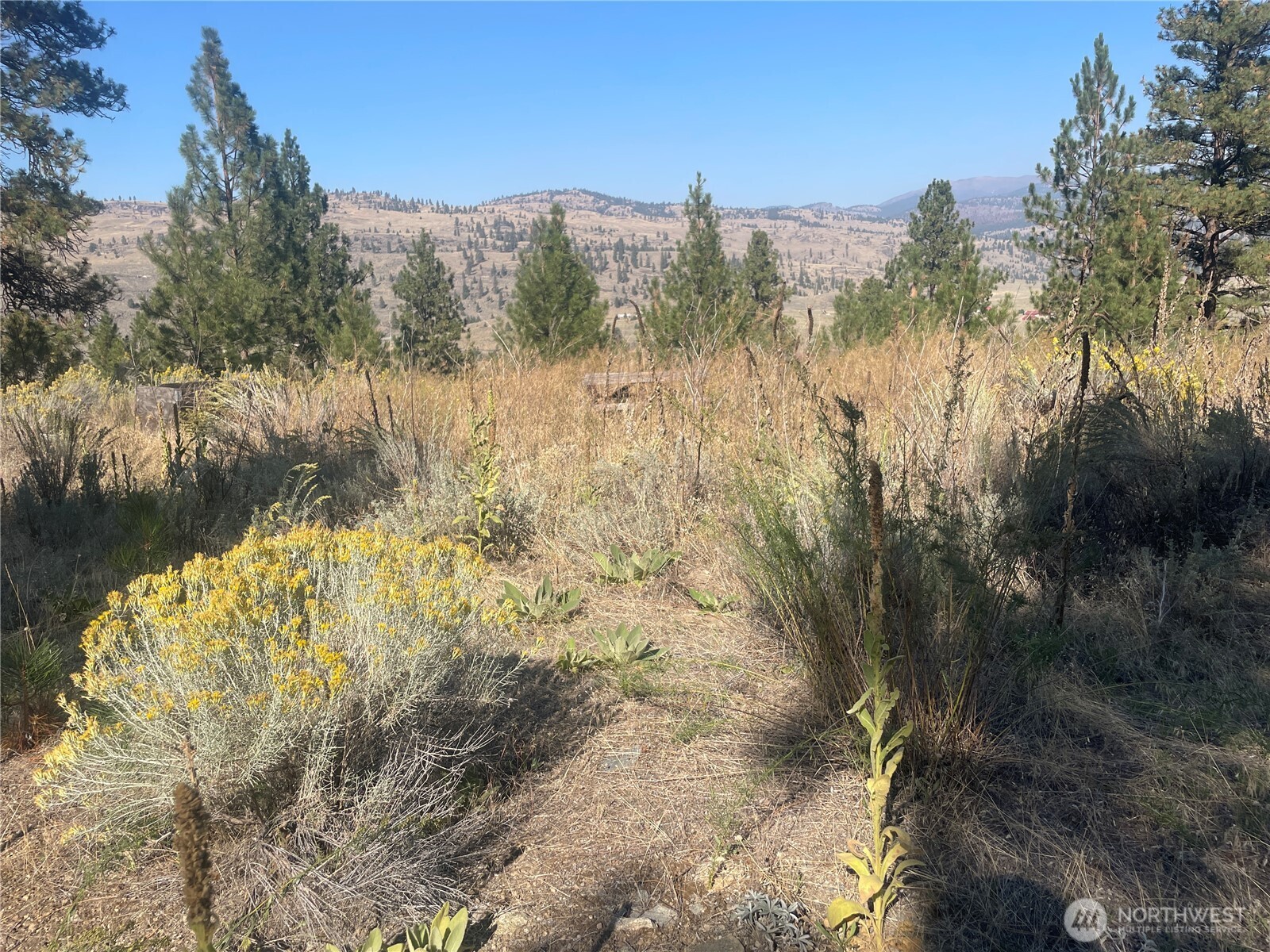 0 TBD Reevas Basin Road
