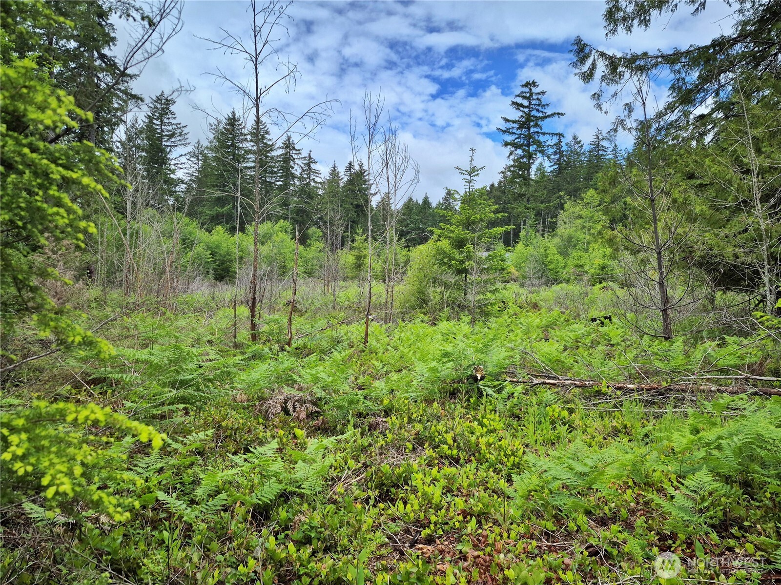 7 W Wilderness Lane