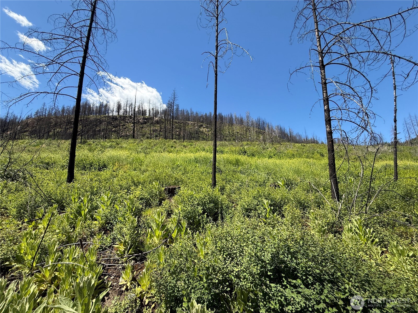 0 Lot 32 4th of July Creek Road