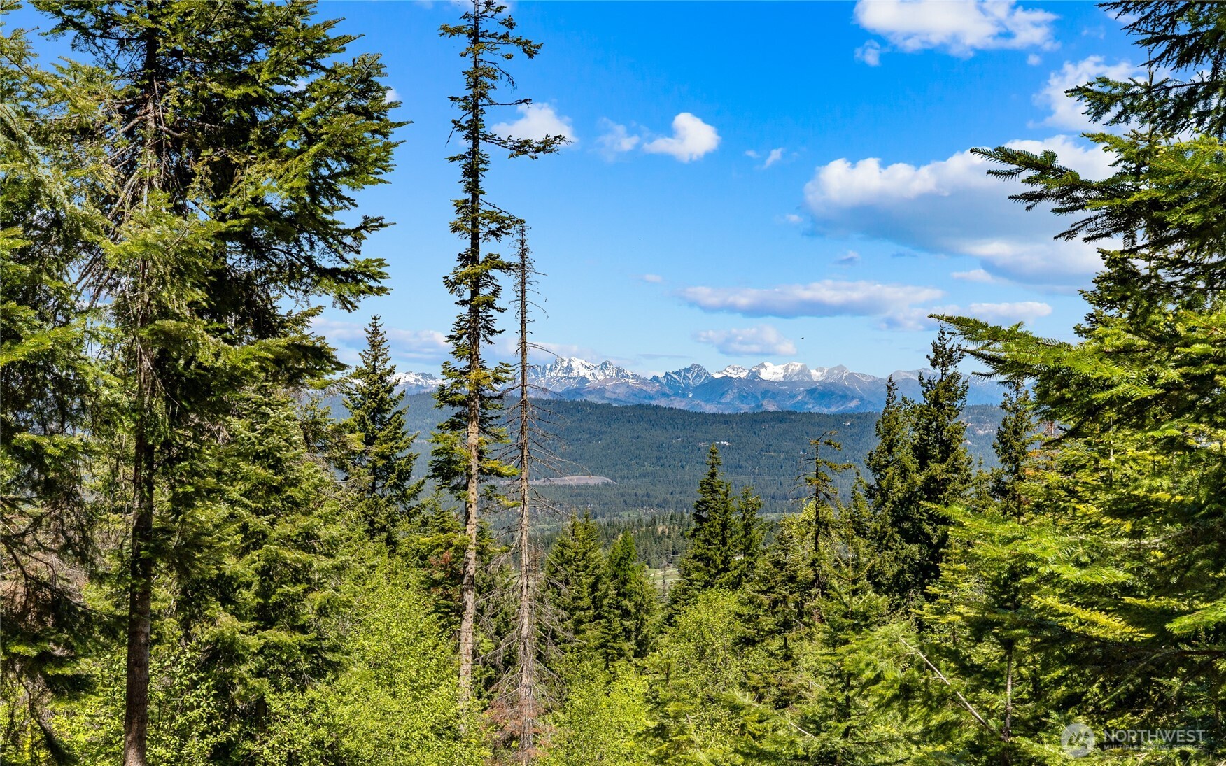 2000 Rocky Mountain Way