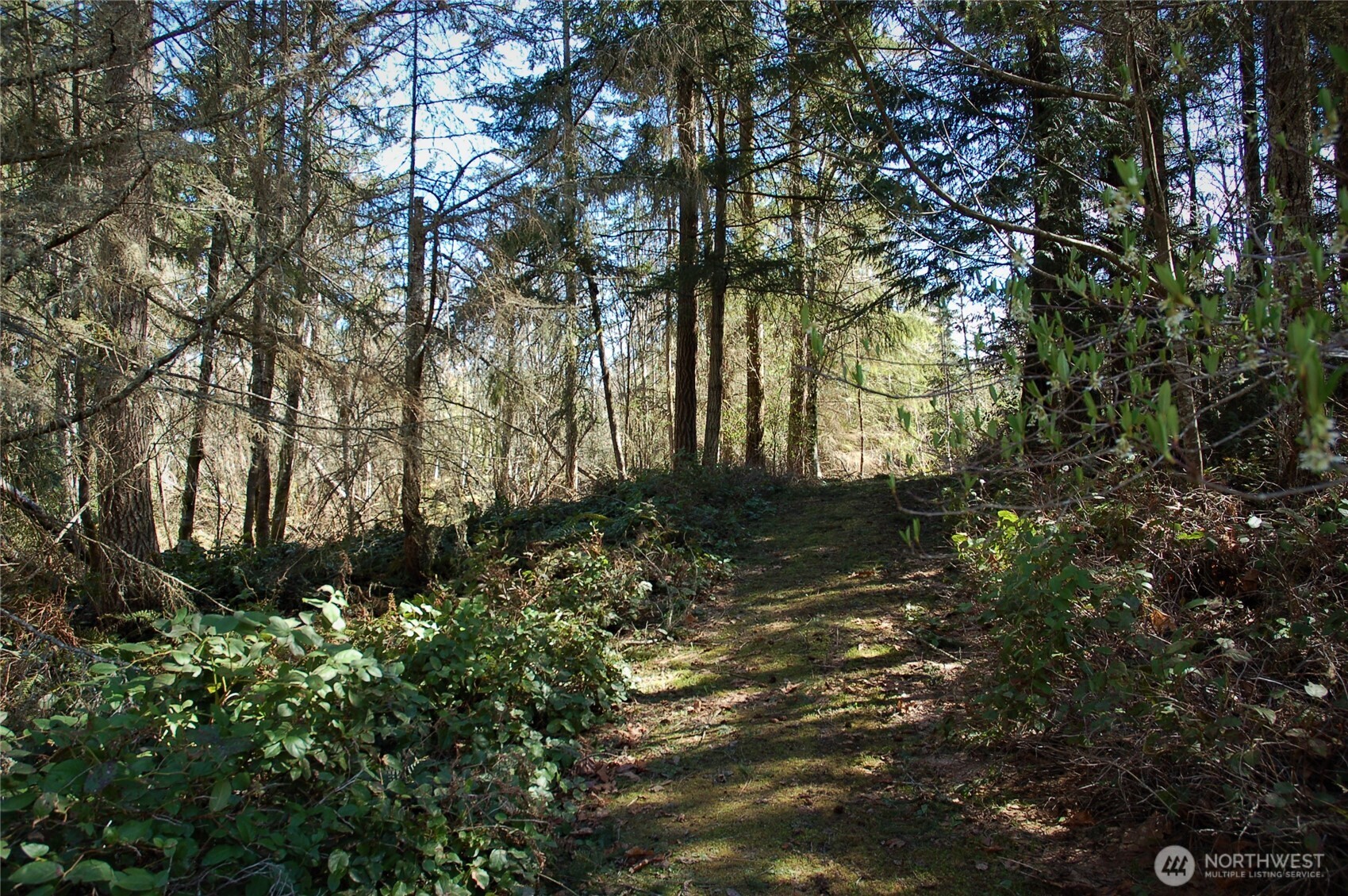 999 S Bagley Creek Road