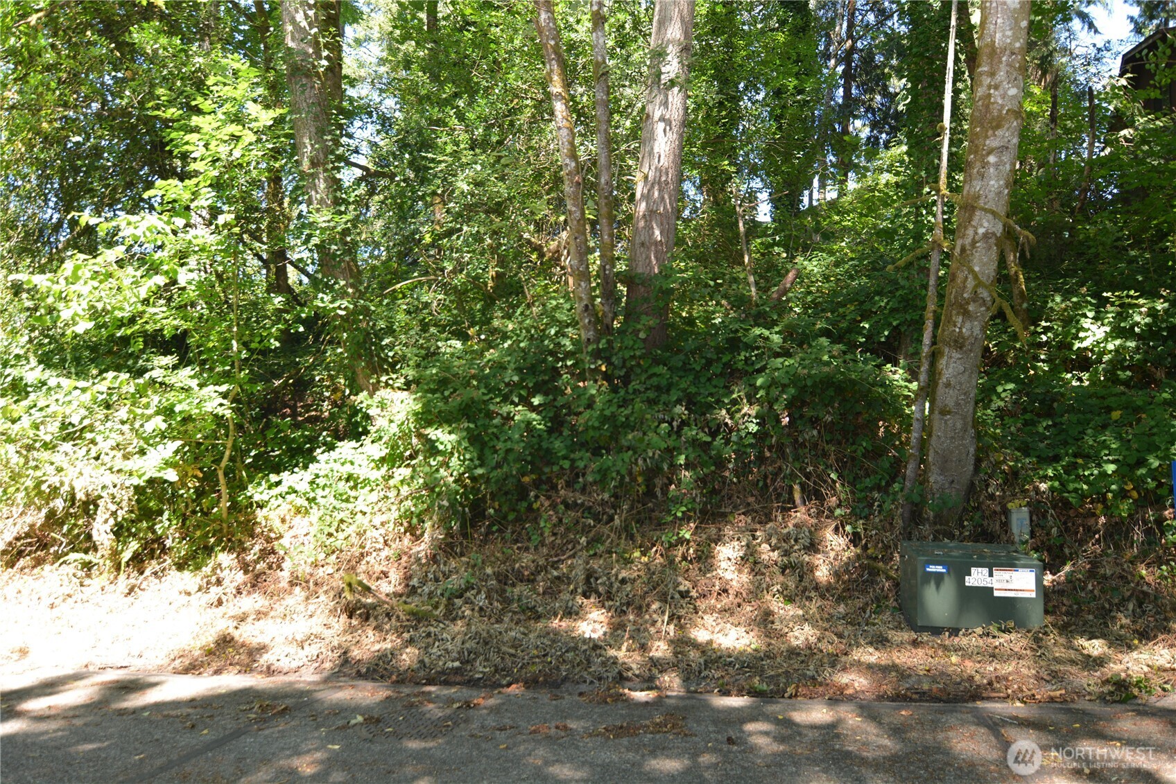 2428 Archwood Drive