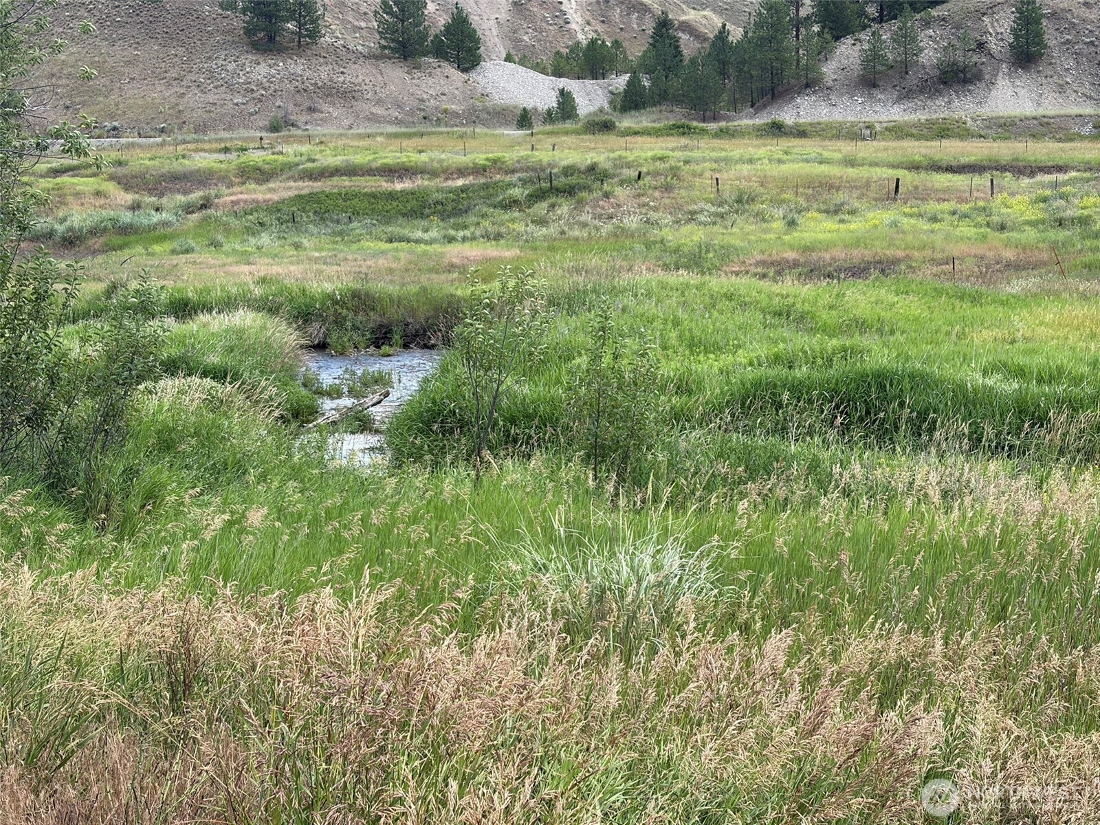 1 TBD Lundimo Meadows Tract 1