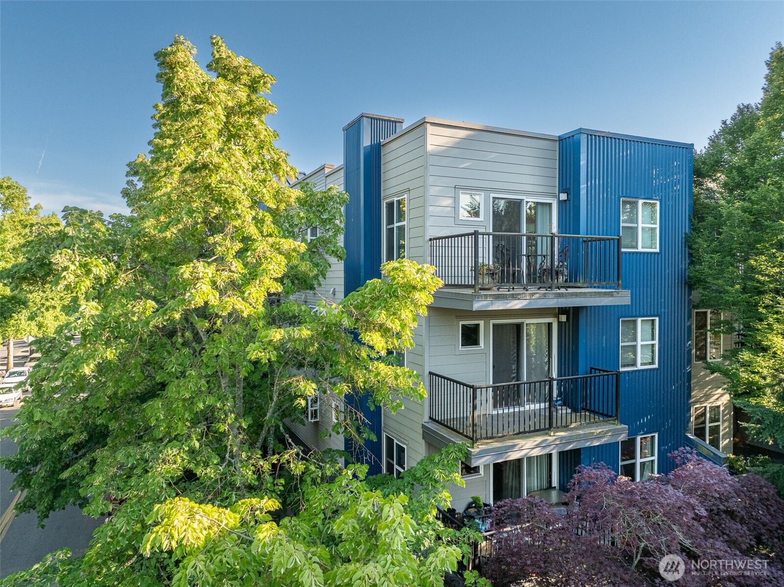 12345 Roosevelt Way NE #310