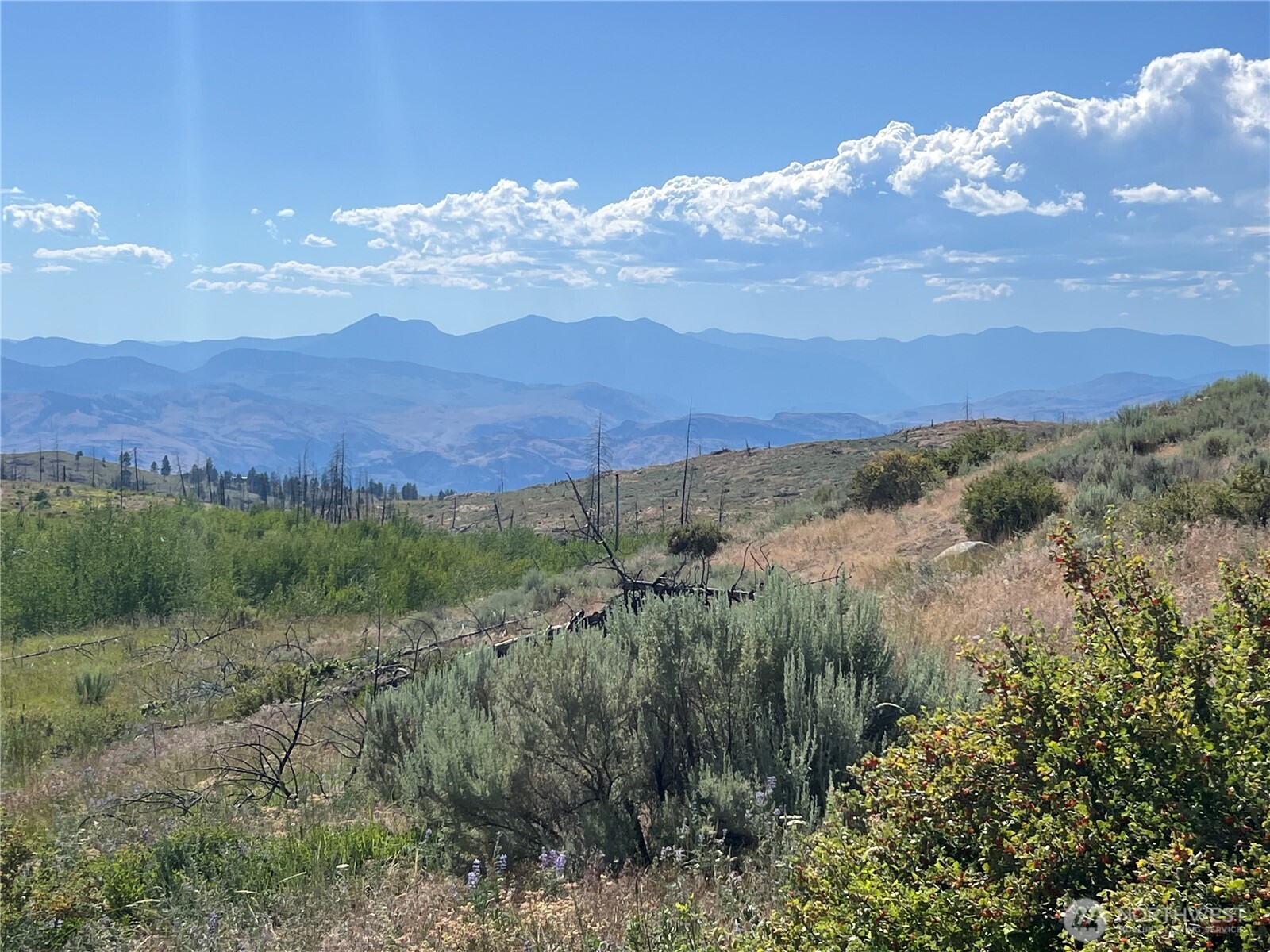 0 Lot 12 Lone Spur Road