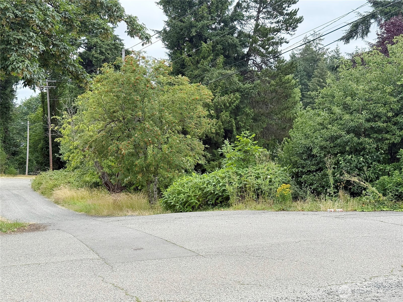 2 XX Euclid Avenue