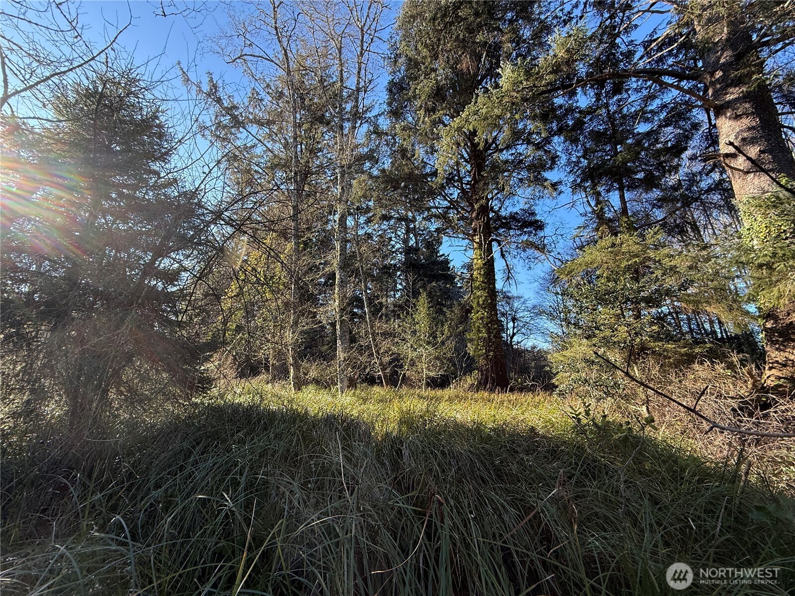 27399 Sandridge Road