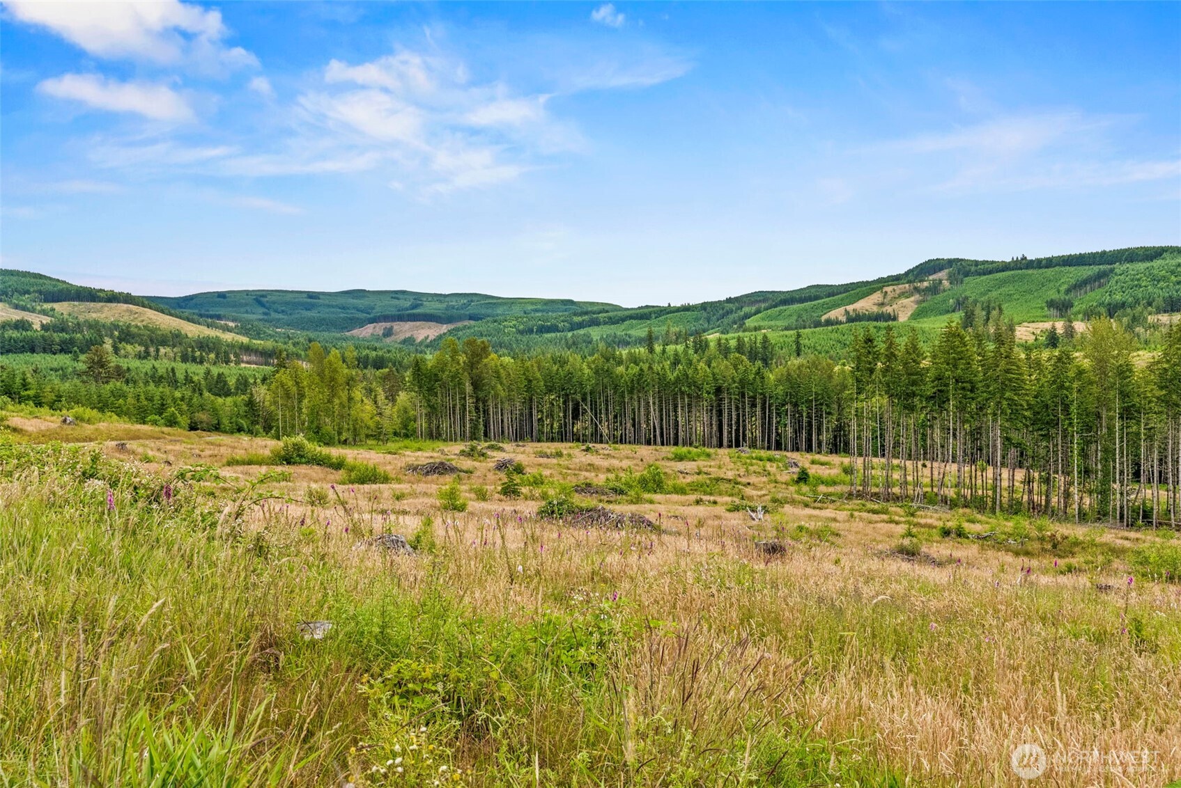 3 Lot 3 Parker Road