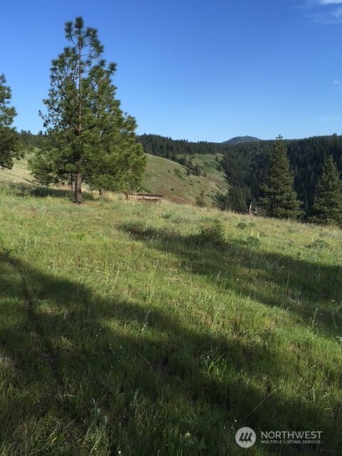 0 bare land