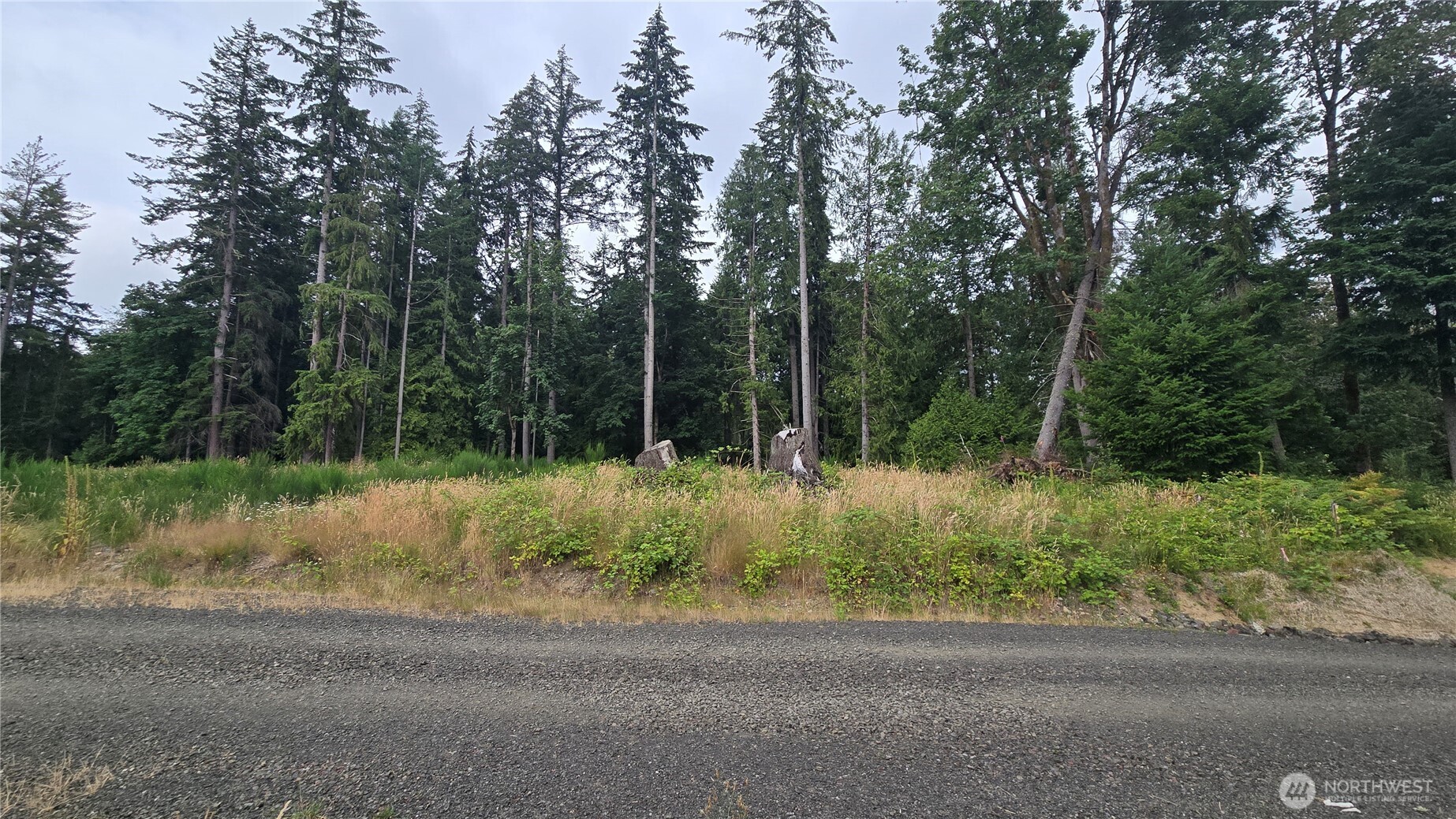 26 xx Oregon (Lot C of Short Plat) Avenue E
