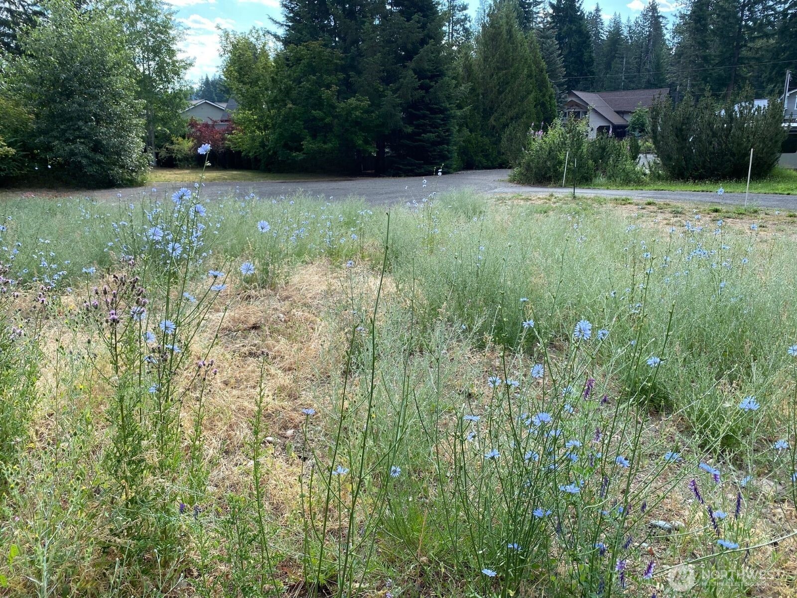 7 lot Kuhuku Court