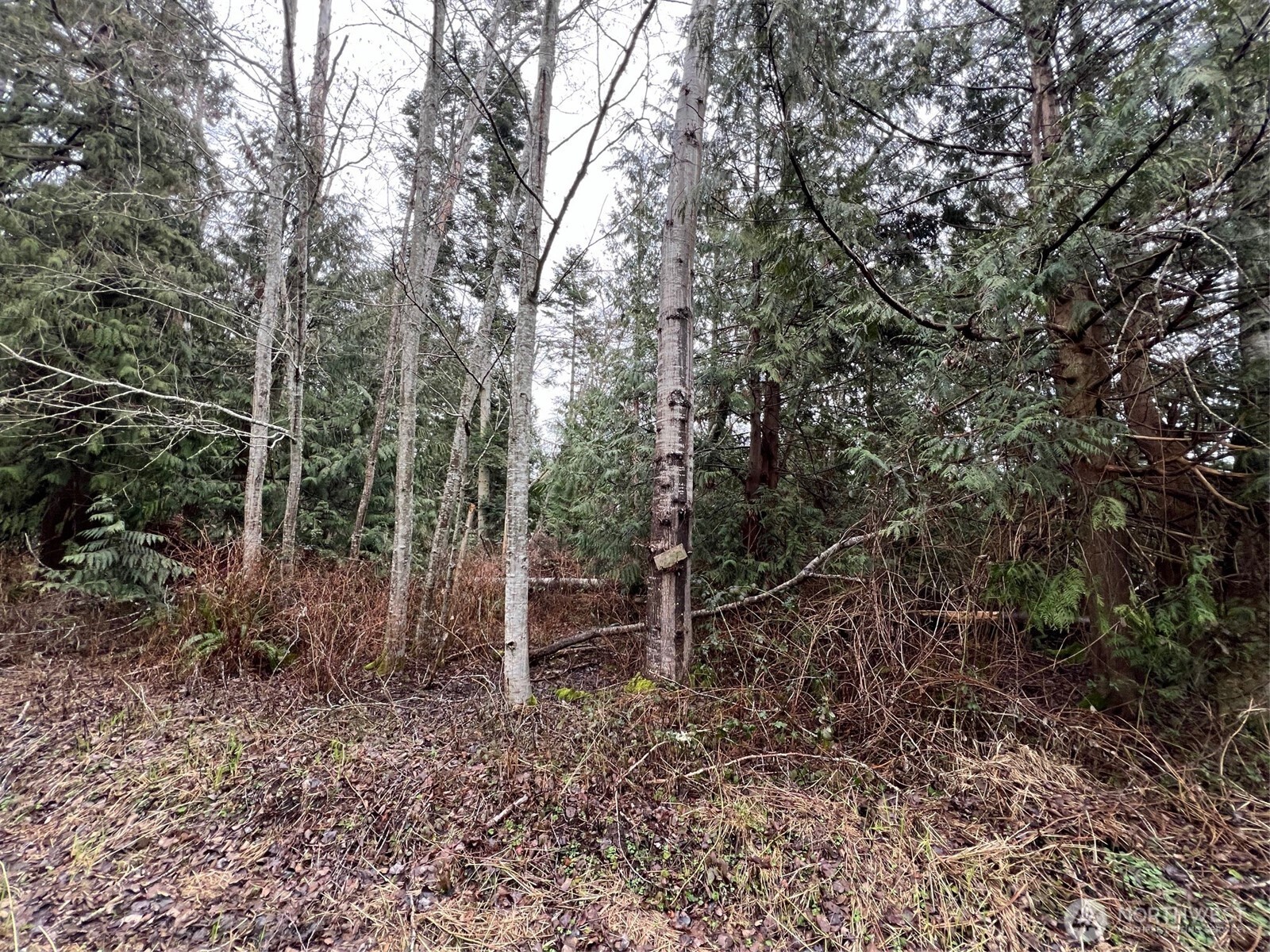 0 Lot 6 Rex Street