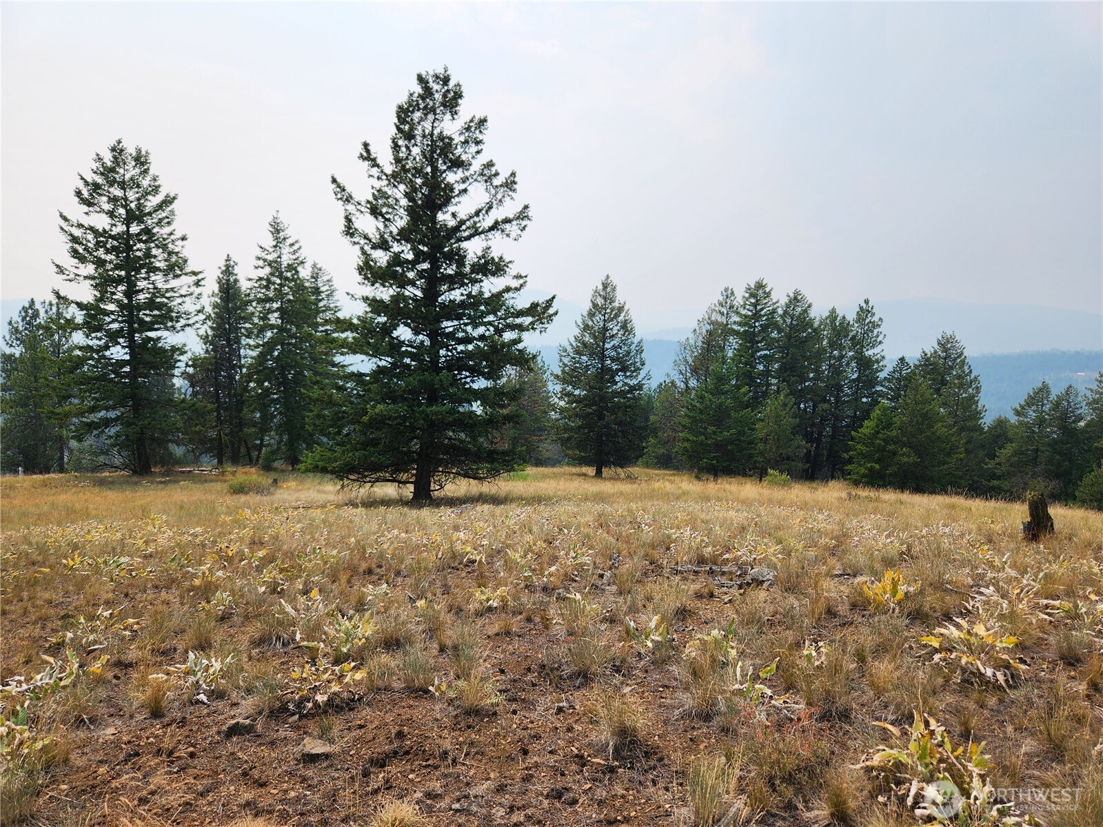 0 TBD Rose Valley Road — home for sale