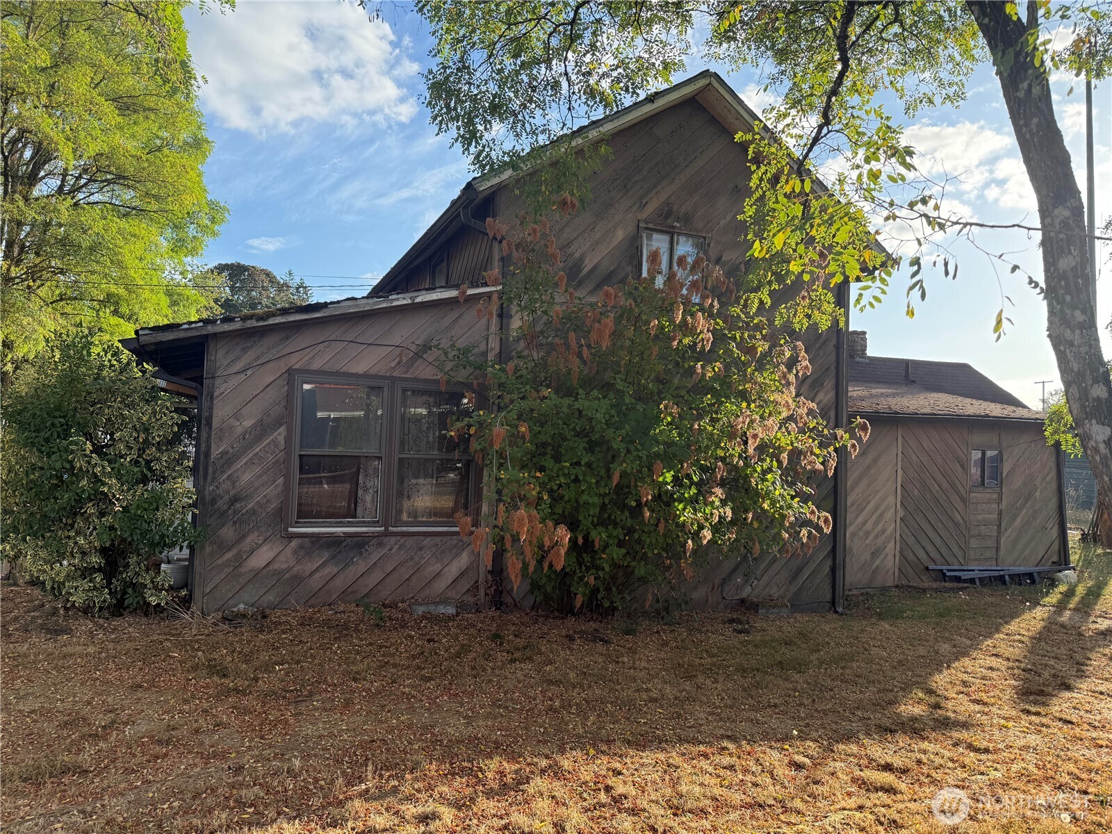 303 Peterson Street S