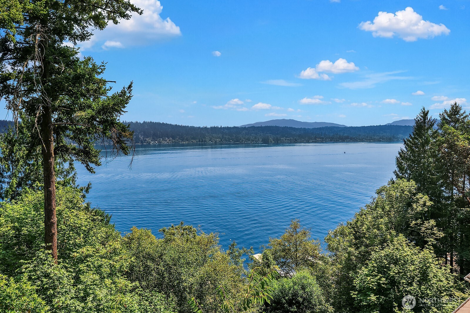 1464 W Lake Sammamish Parkway