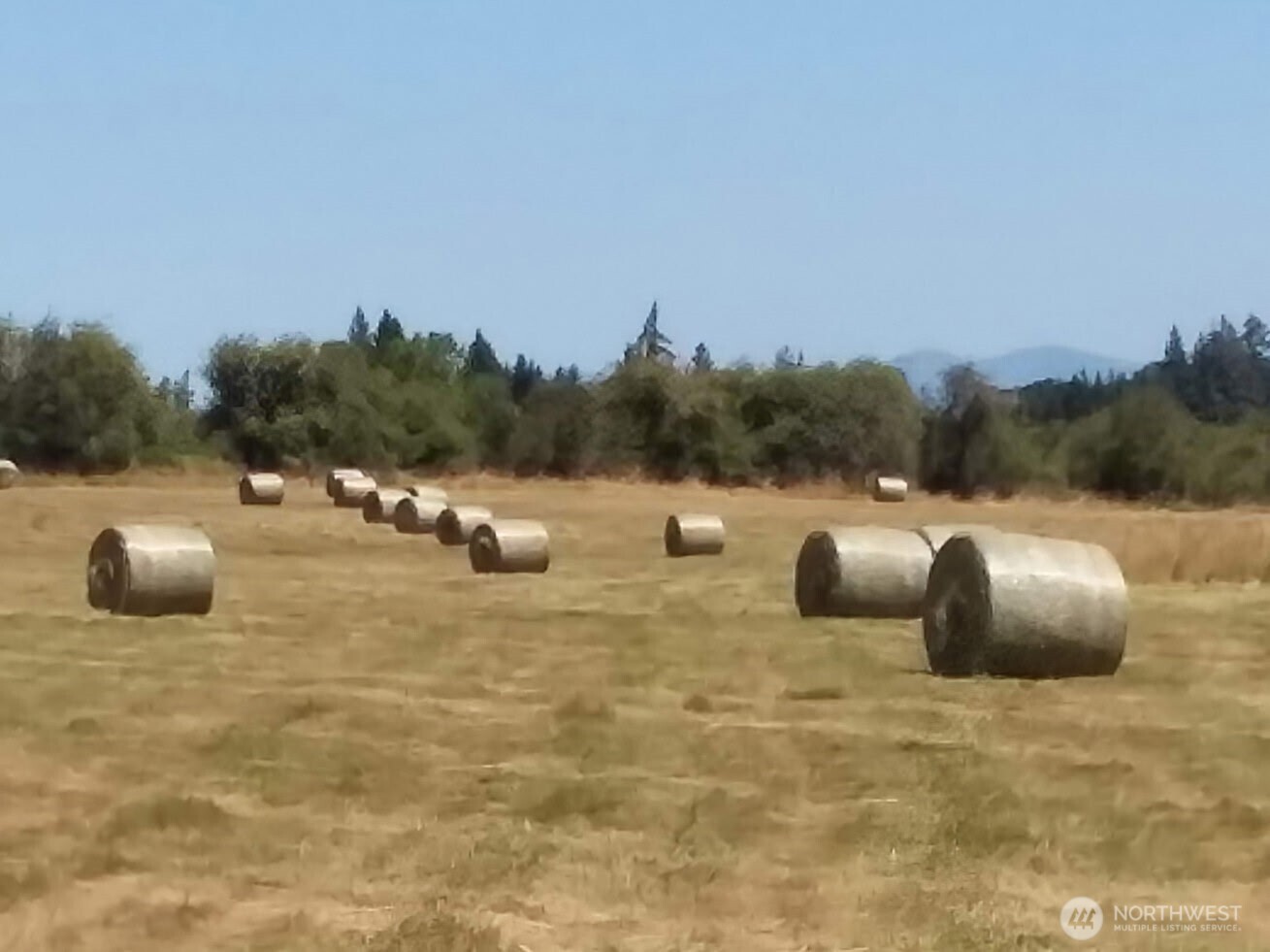 0 Drews Prairie Road