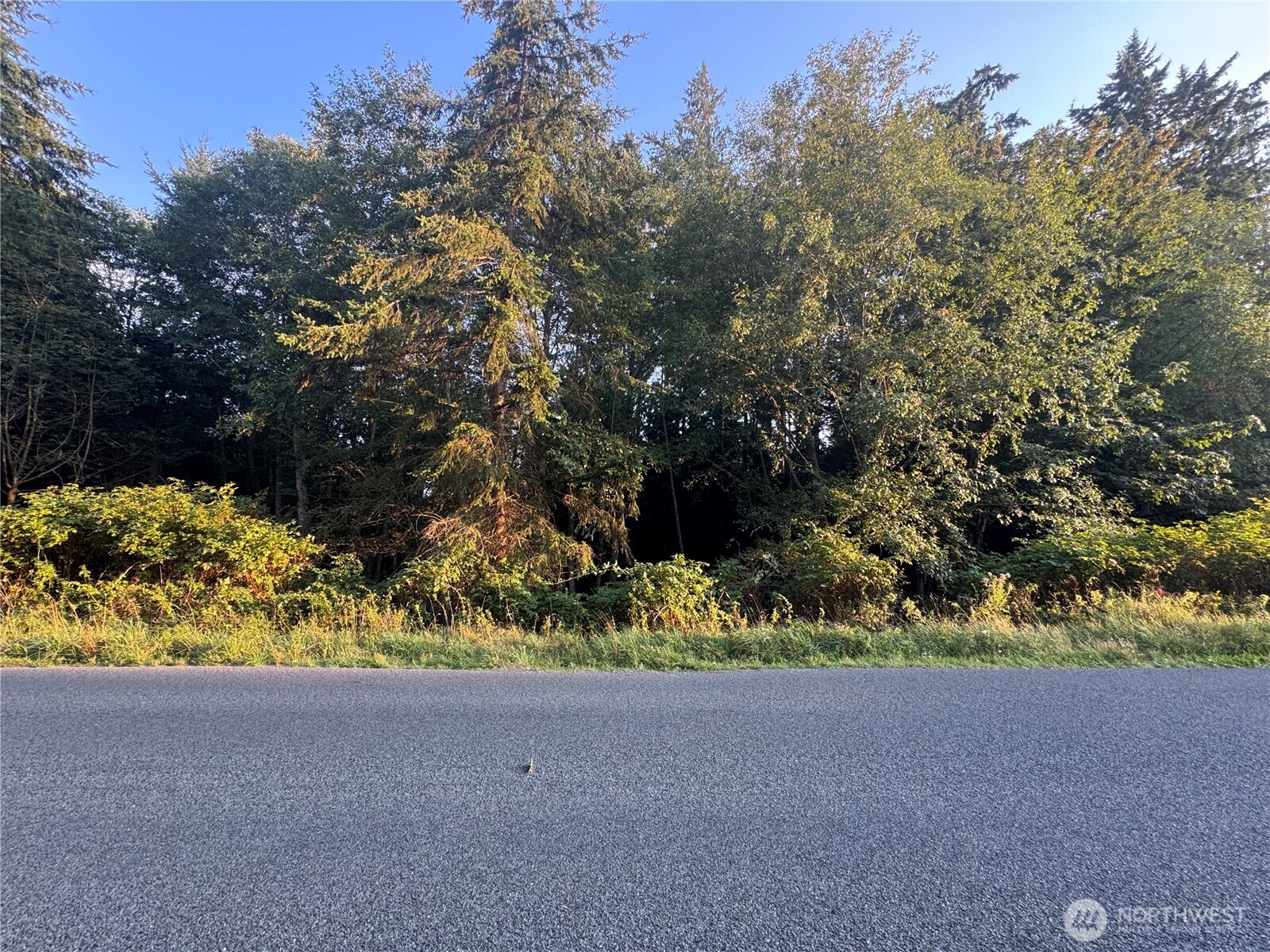 78 X Prospect Avenue