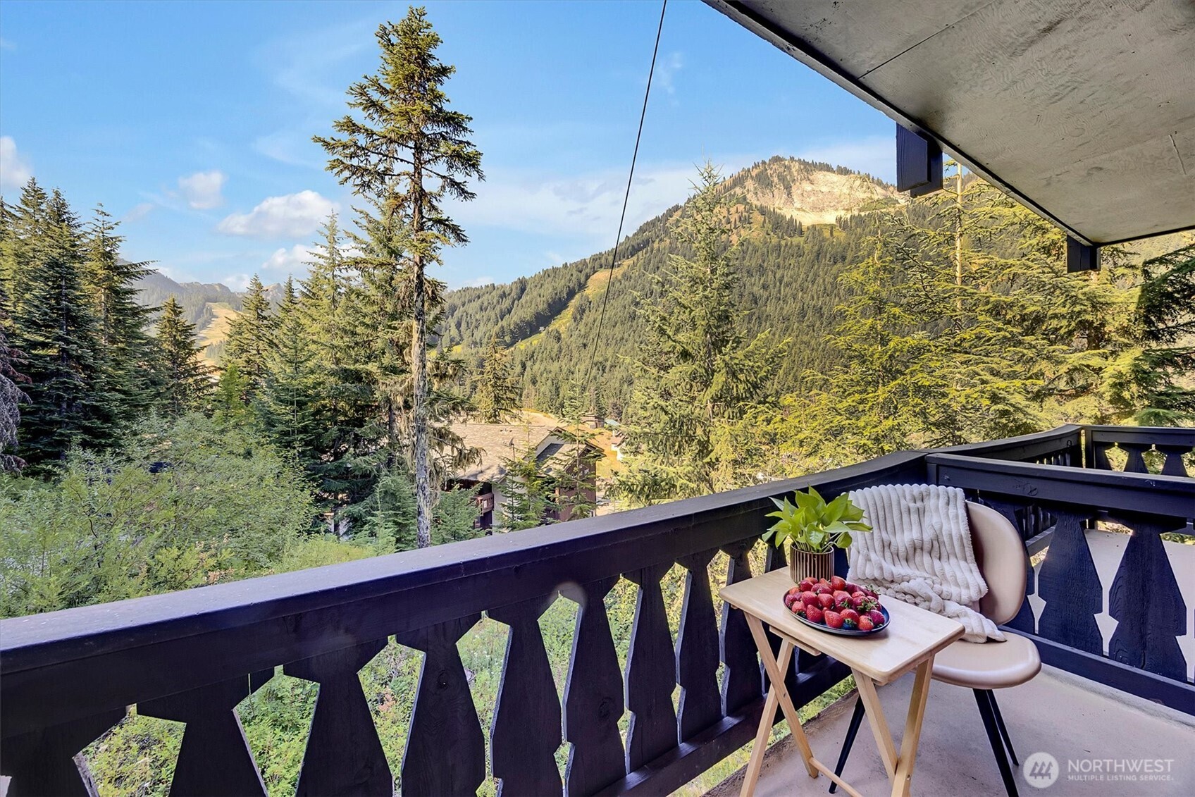 33613 Crystal Mountain Boulevard E #502 — home for sale