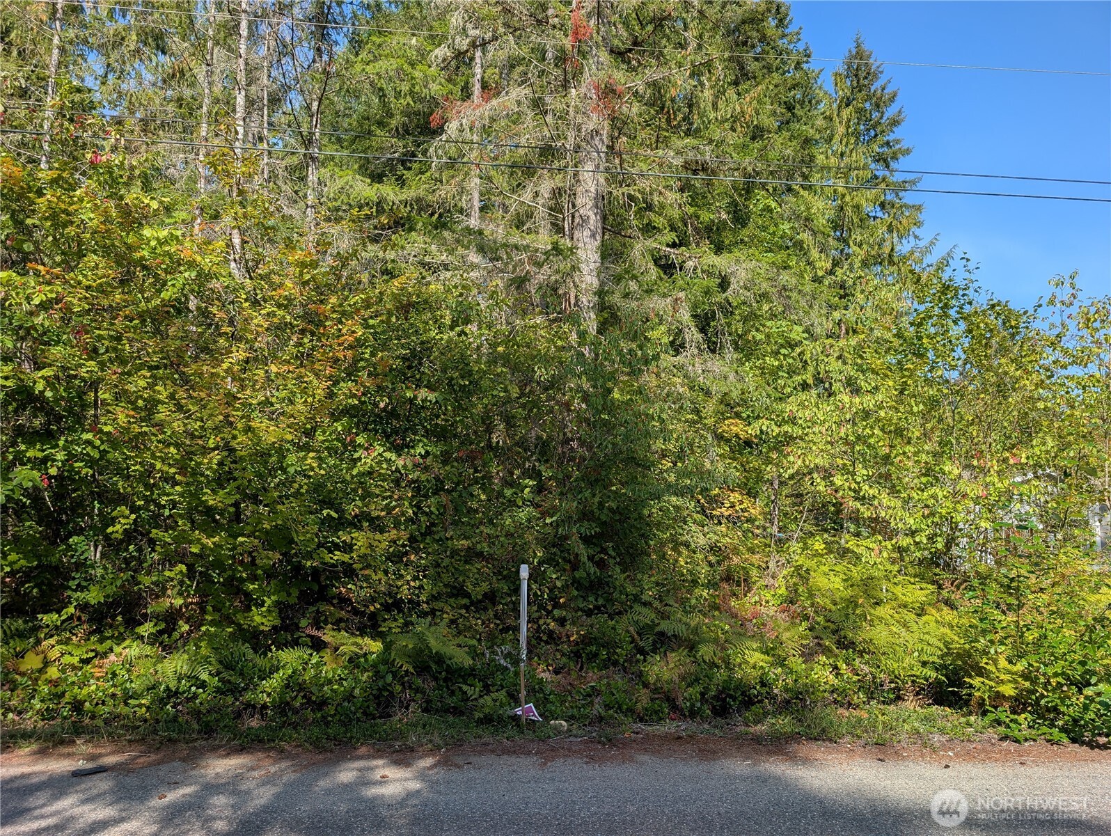 459 xx Baker Drive