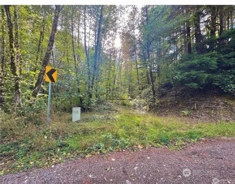 1085 N lake cushman Road