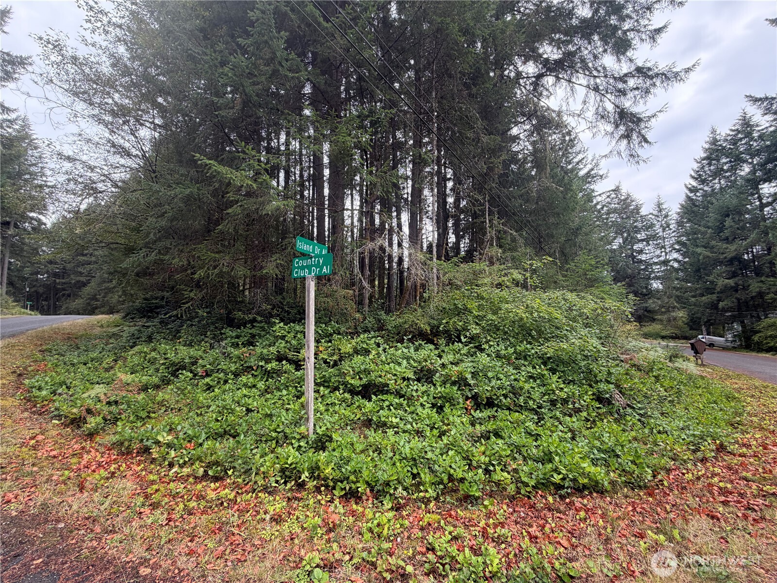 11928 Country Club Drive — home for sale