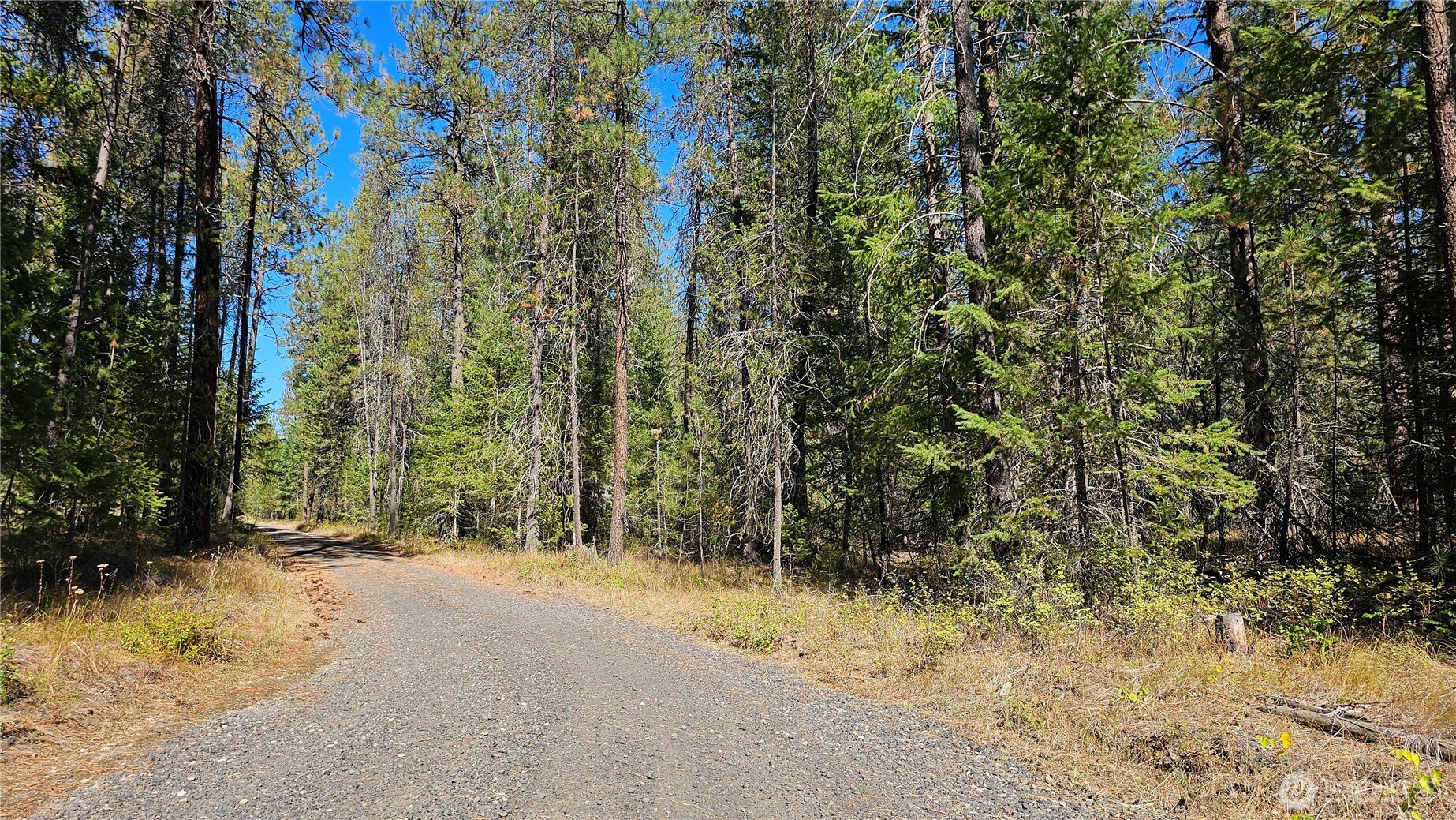 385 X Agar Road