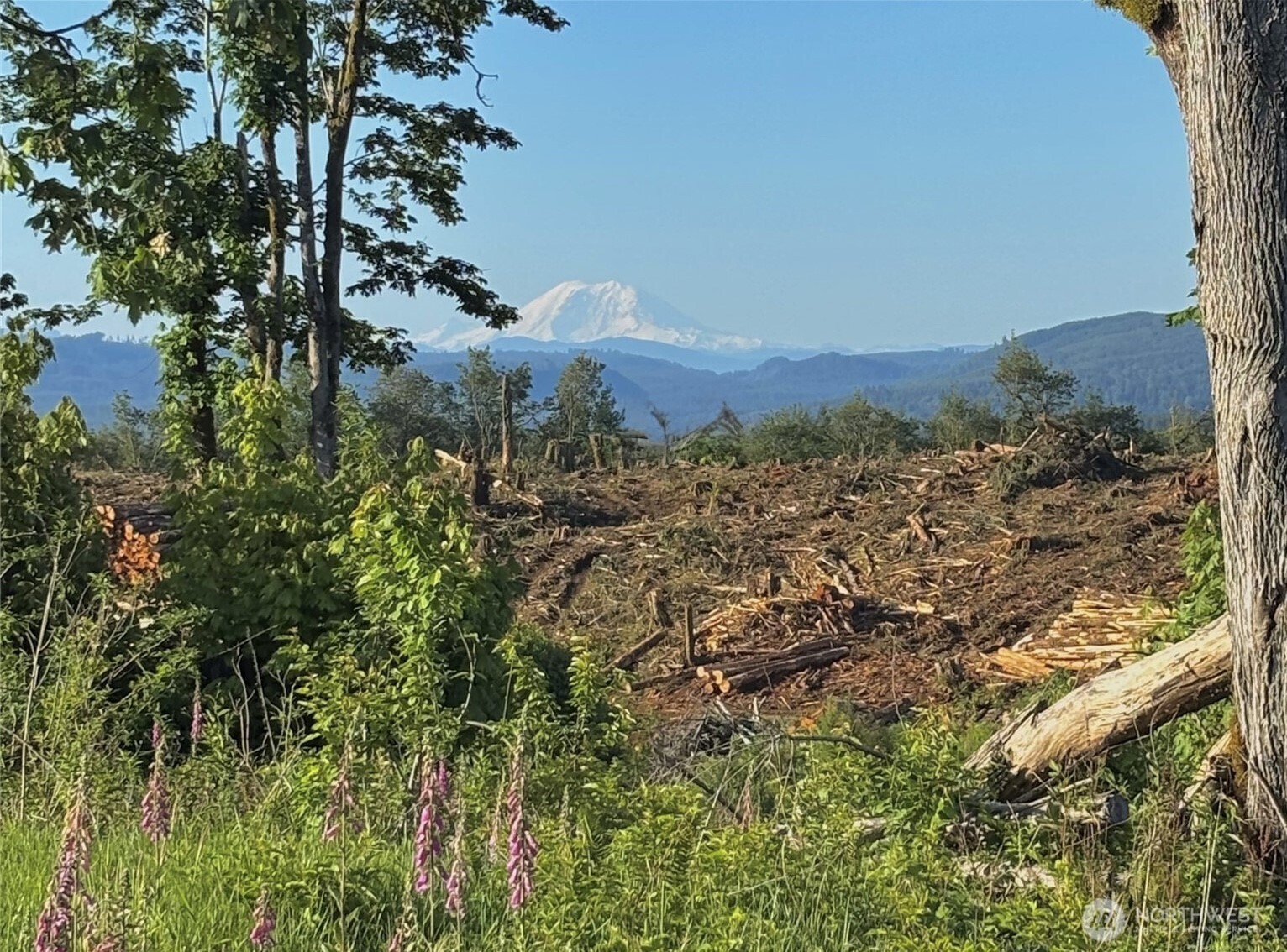 27419 Old Pipeline Road — home for sale