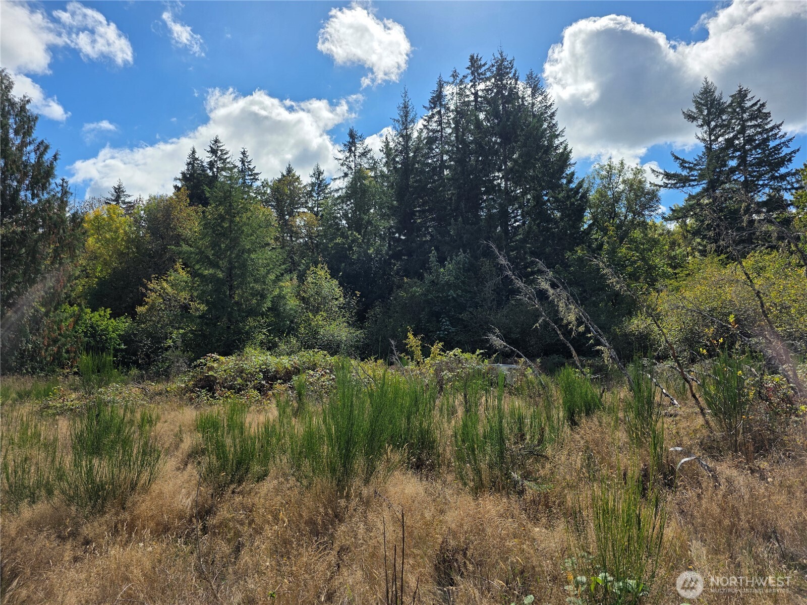 400 Marion Street S — home for sale