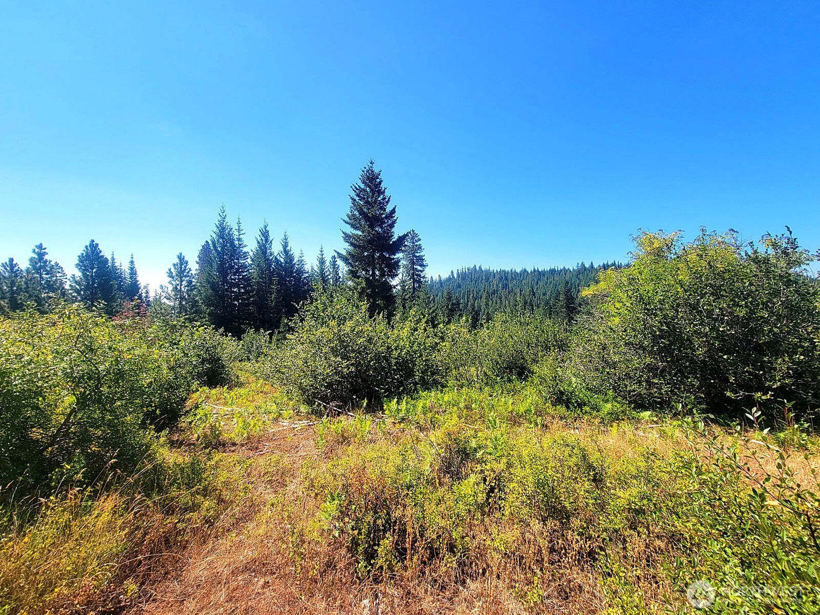 0 Lot 1 Simcoe Mountain Reserve — home for sale