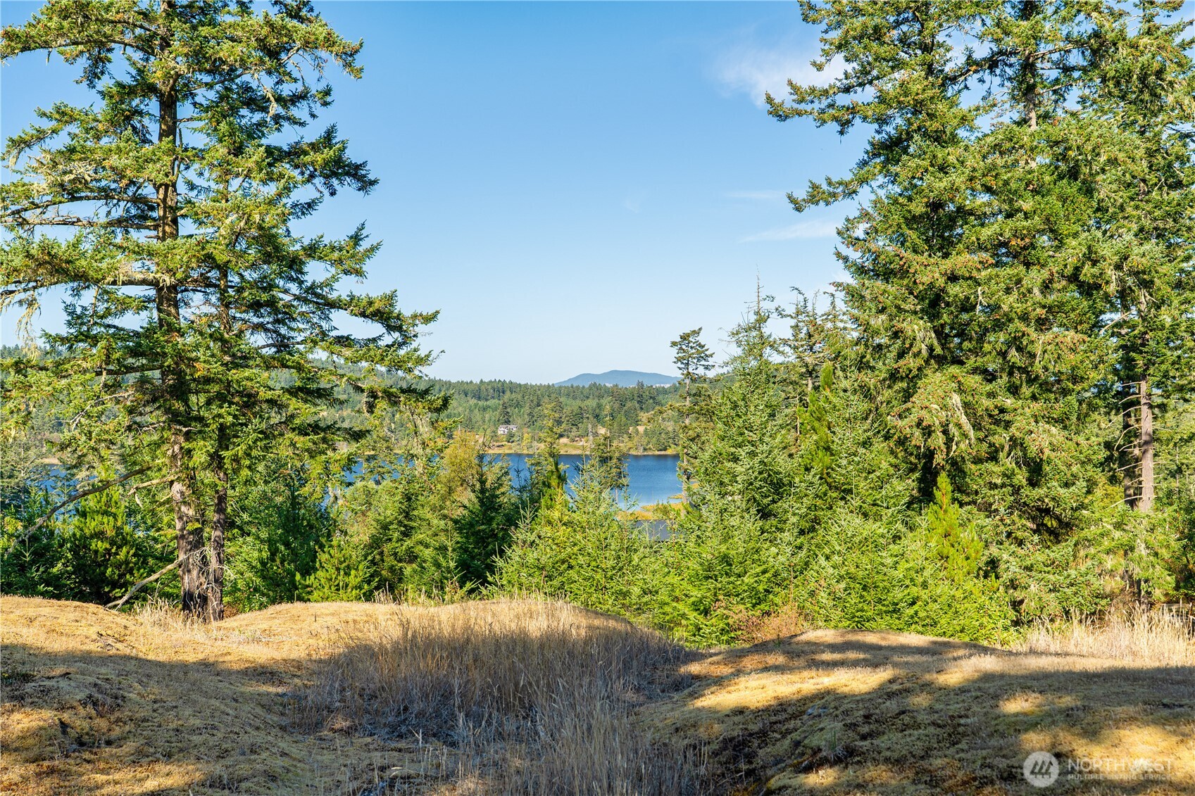 0 Woodpecker Lane — home for sale