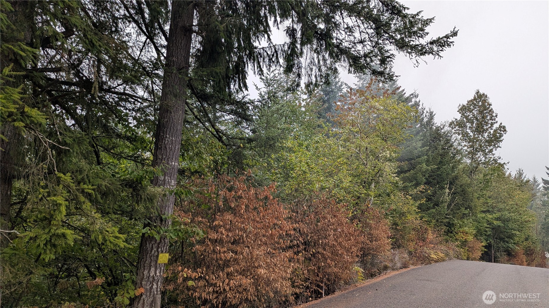 0 Loop Road — home for sale