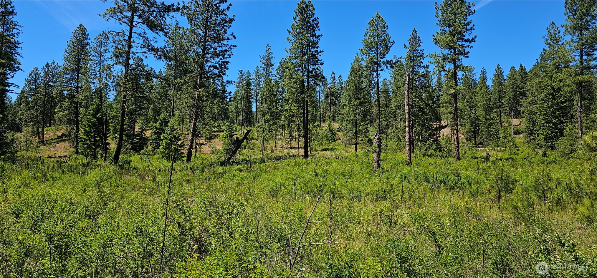 20 X Lynx Road — home for sale