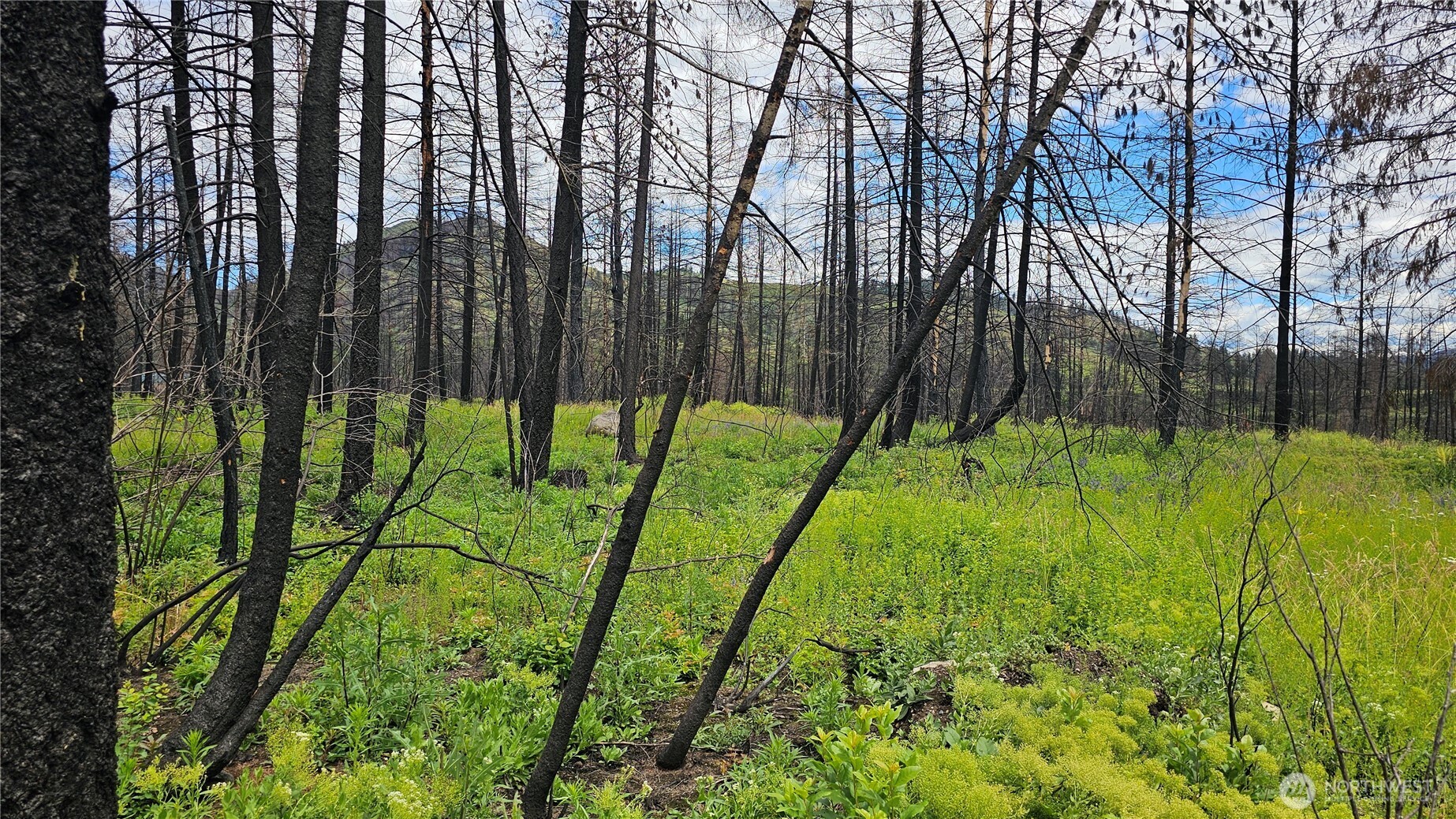 34 XX Lael-Flat Creek Road — home for sale