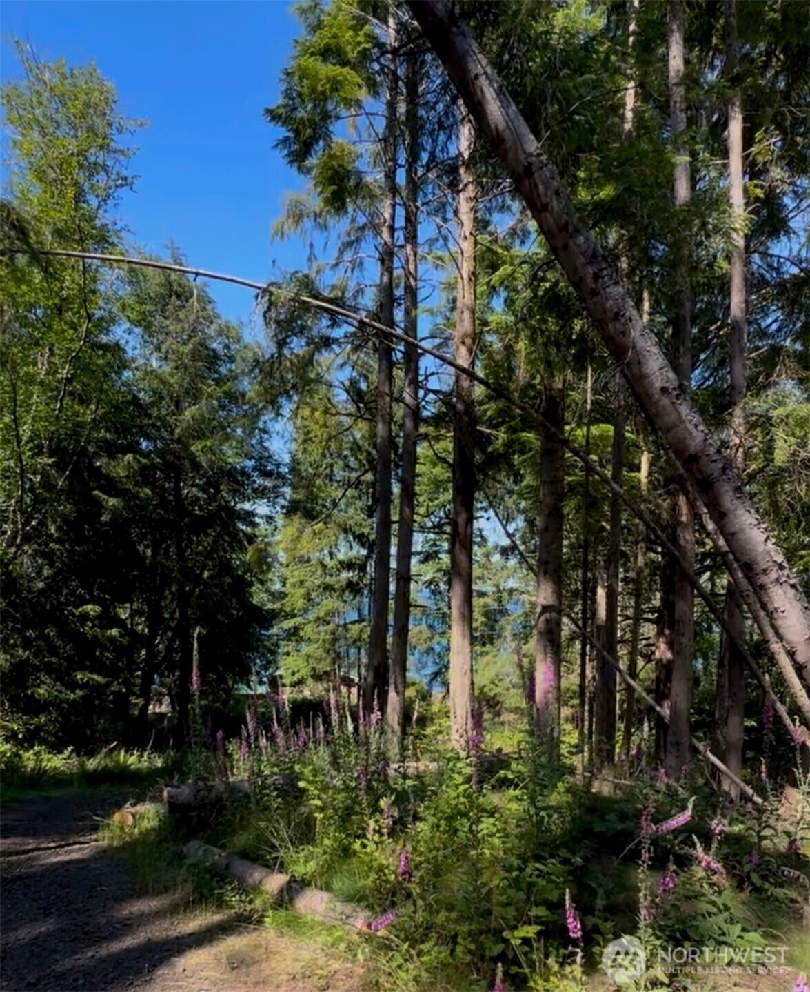 1241 Eagle Point Road — home for sale