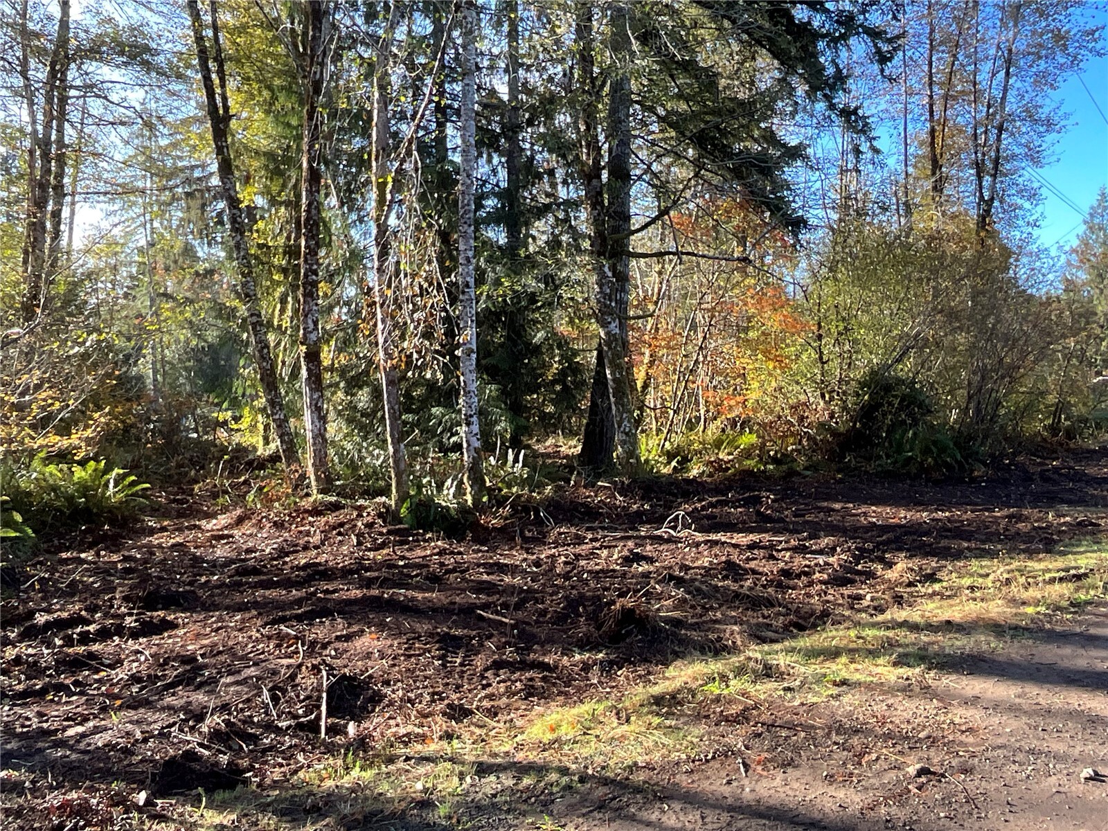 11 X W Hamma Hamma Drive — home for sale