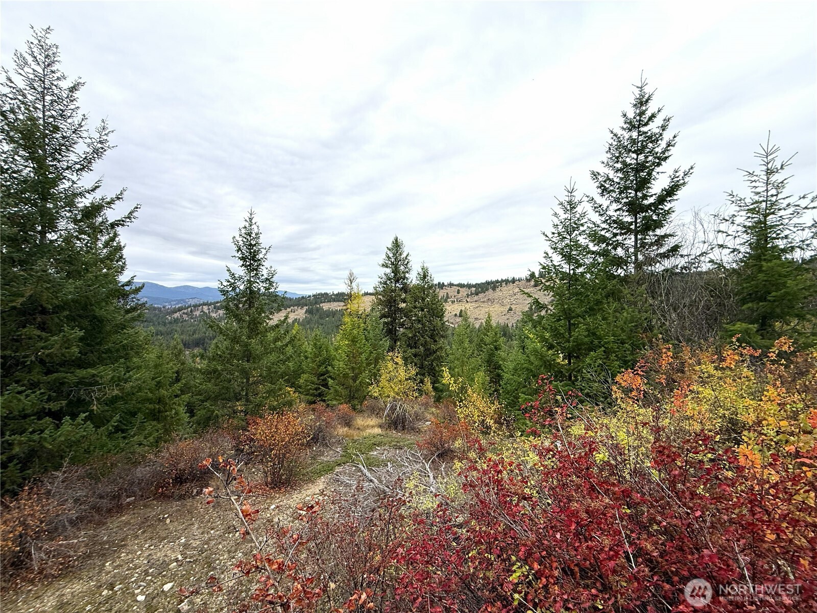 91 Edgewood Lane — home for sale