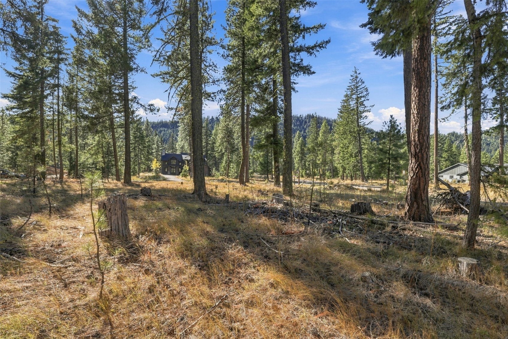 71 Gold Leaf Lane — home for sale