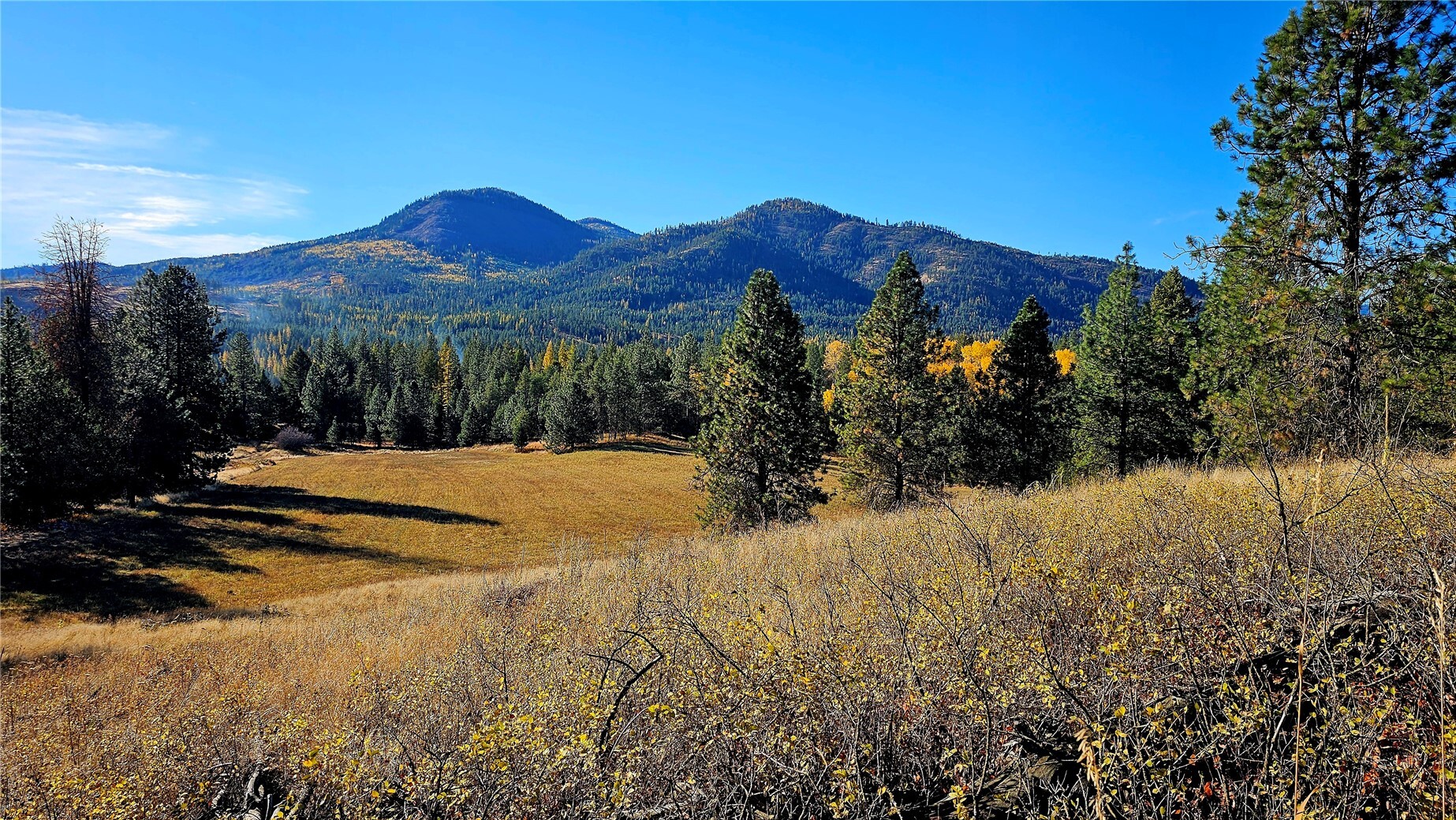 206 X Addy Gifford Road #Lot A — home for sale